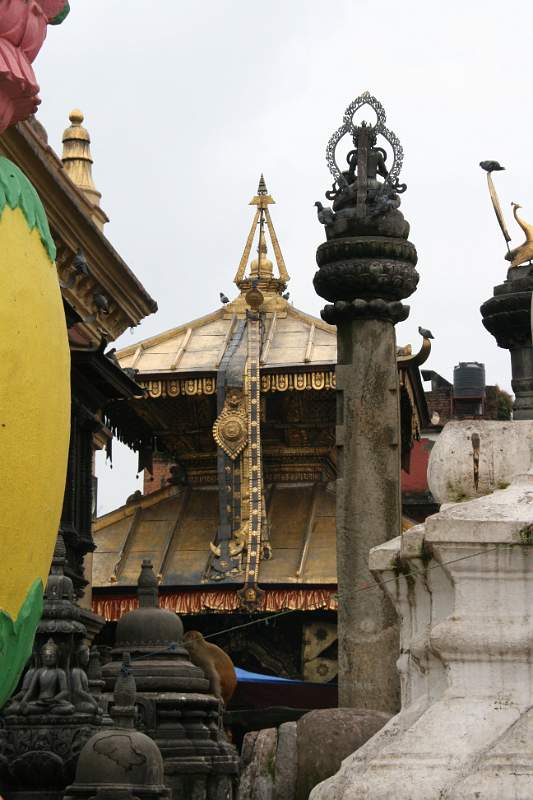 India & Nepal 2011 - 0380